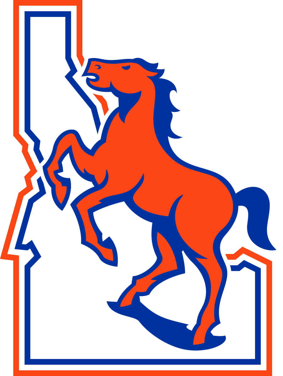 Boise State Broncos 2021-Pres Throwback Logo diy iron on heat transfer